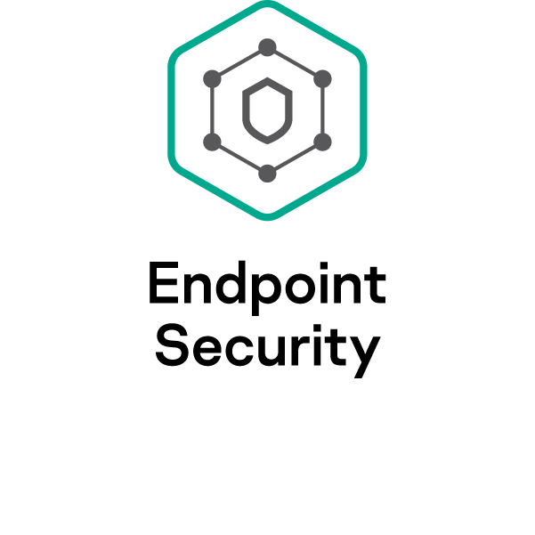 <strong>Kaspersky Endpoint Security</strong><br /> safeguards devices, laptops, servers, and tablets from cyberattacks with features like malware protection and vulnerability scanning.
